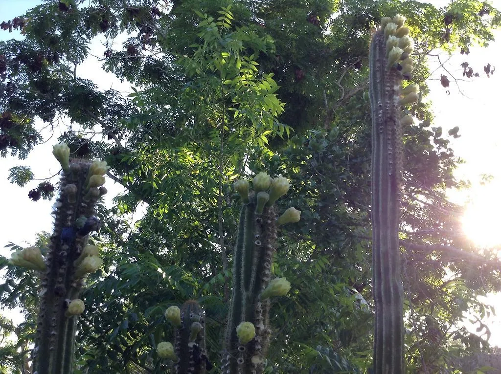 Отель Welcoming Vibes Пляж Сокровищ 0*,